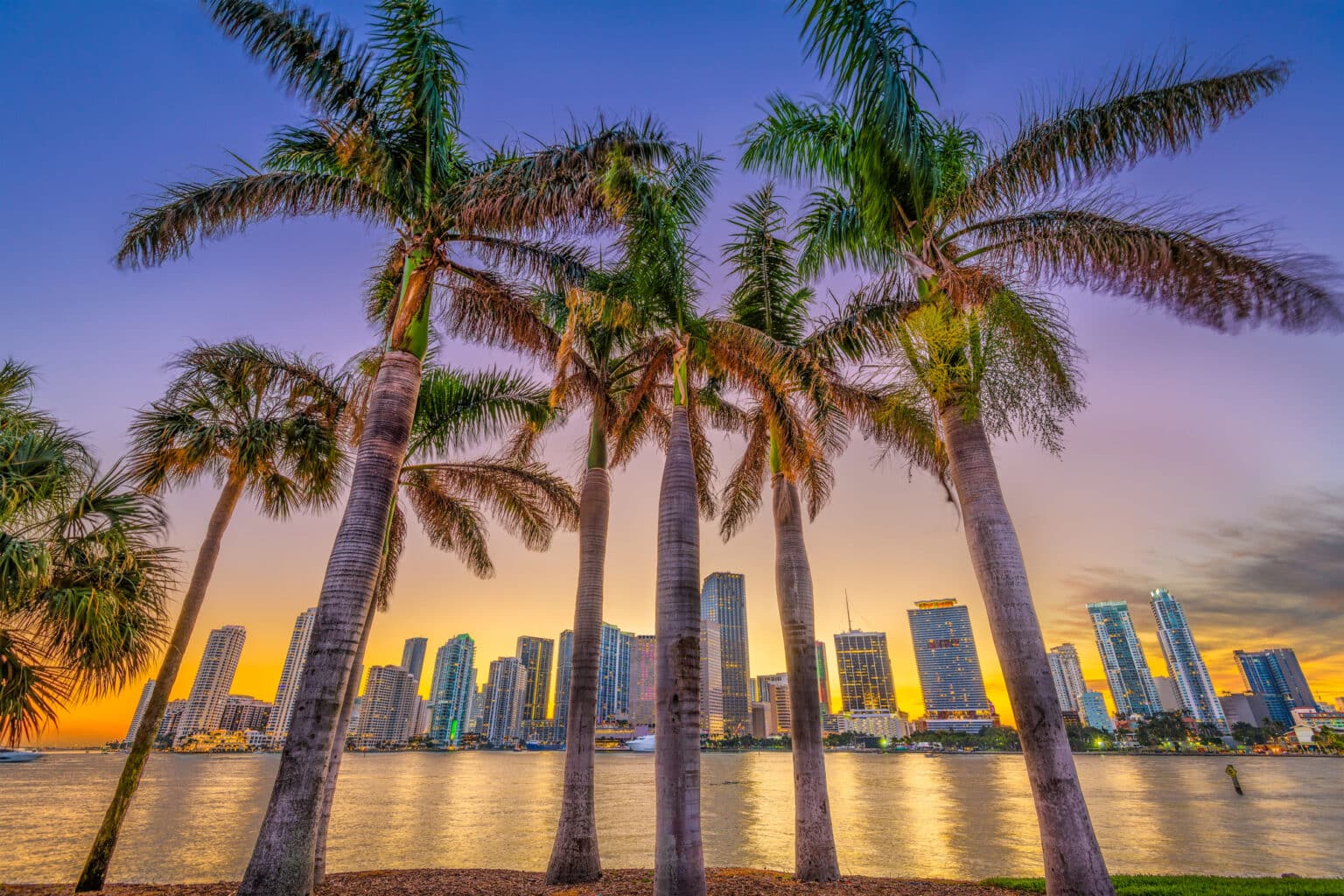 ICYMI: Why Florida Property Insurance Rates Might Keep Falling (and Why They Might Not)
